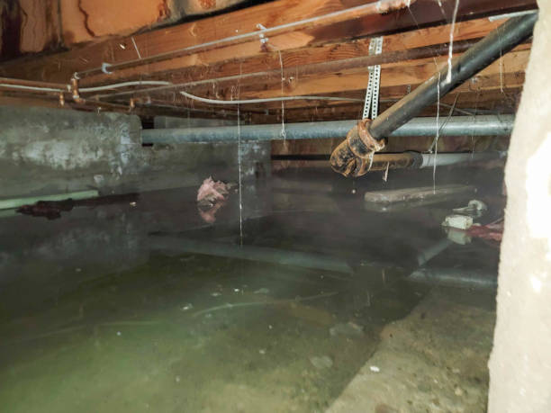 Best Water damage restoration near me  in Perezville, TX