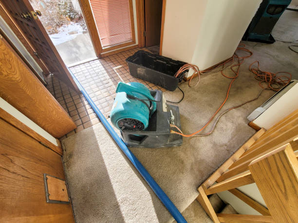 Best Basement water damage restoration  in Perezville, TX