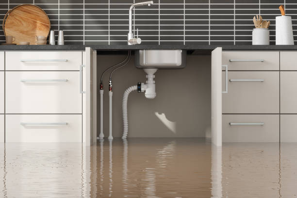 Best Flood damage cleanup  in Perezville, TX