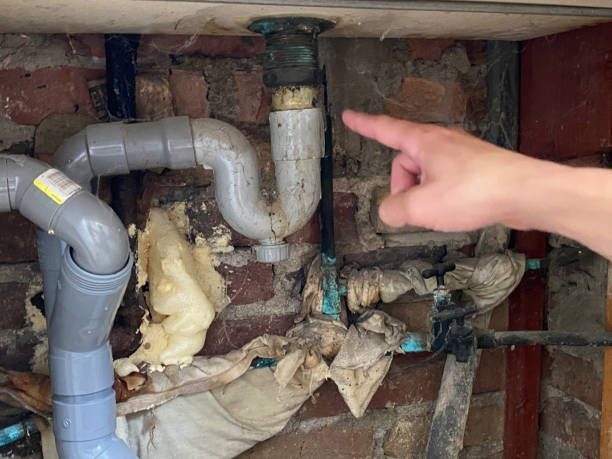 Best Professional water damage repair  in Perezville, TX