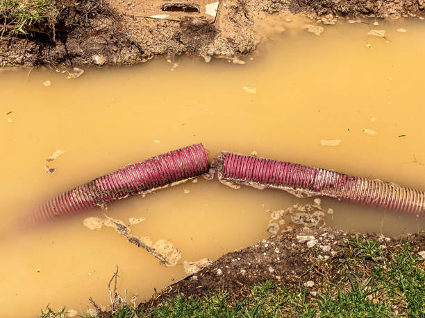 Best Sewage cleanup and water damage restoration  in Perezville, TX